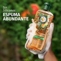 Champú Volumen Naranja 350ml-227381 Champú Volumen Naranja 350ml-227381 5